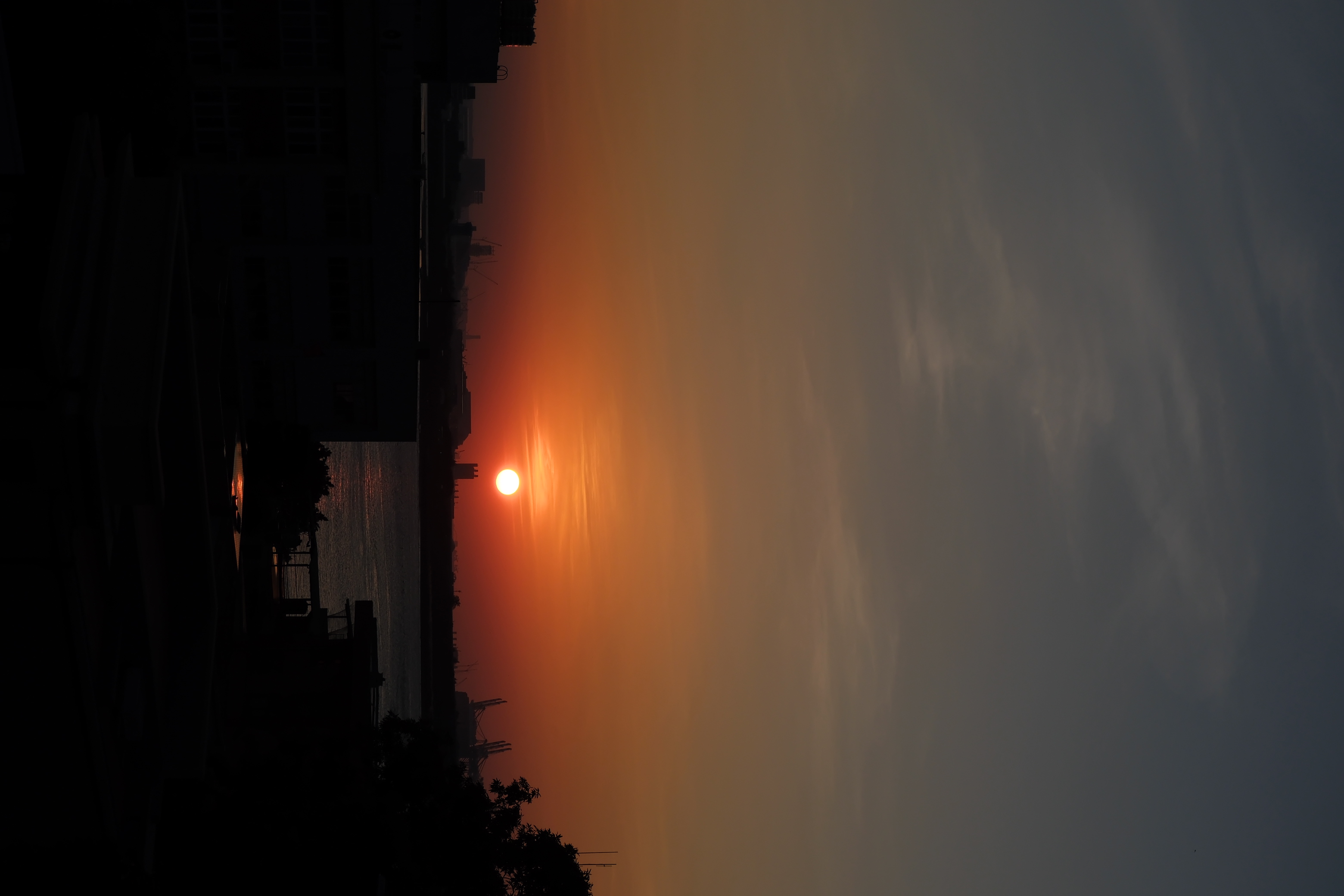 Hobby photo 7